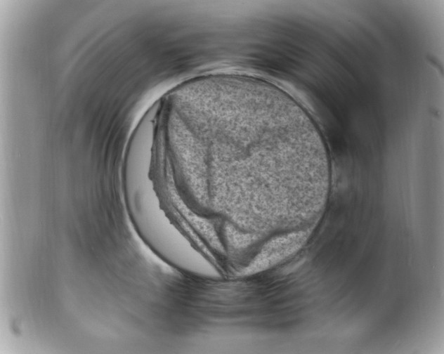 X0000098161247200805151221