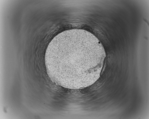 X0000098161249200805151221