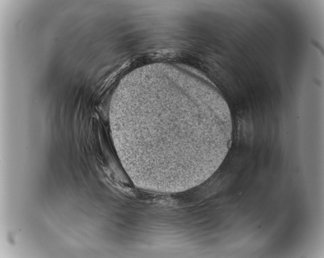 X0000098161250200805151221