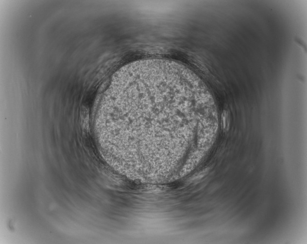 X0000098161251200805151221