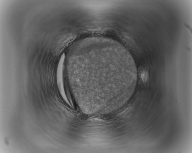 X0000098161252200805151221