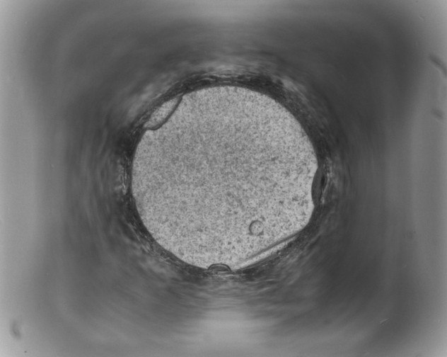X0000098161253200805151221