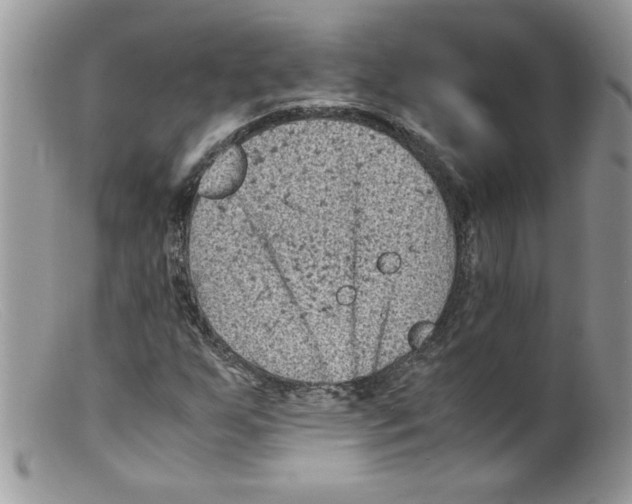 X0000098161255200805151221