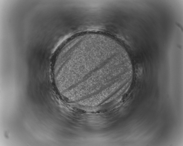 X0000098161256200805151221