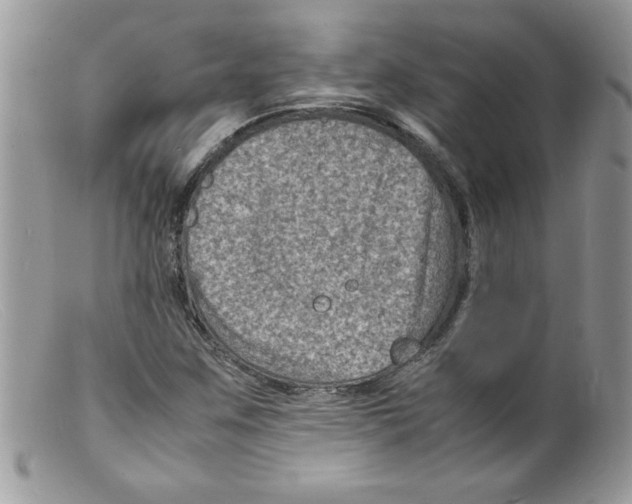 X0000098161259200805151221