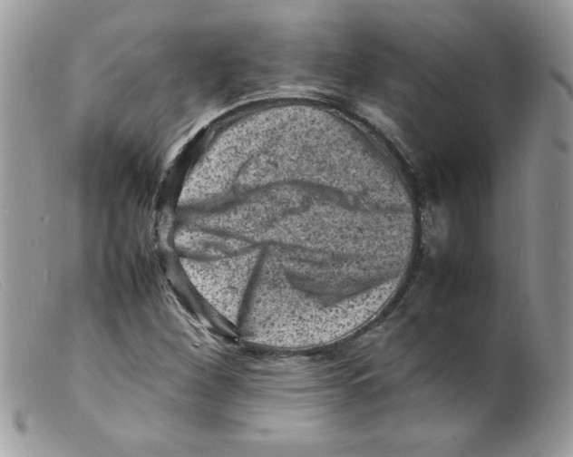 X0000098161260200805151221