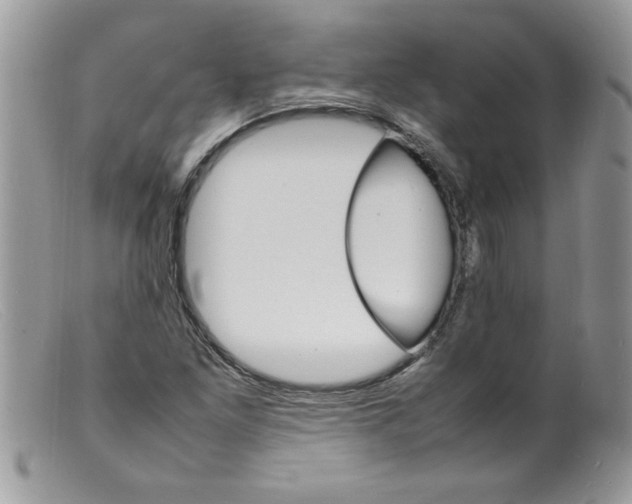 X0000098161261200805151220
