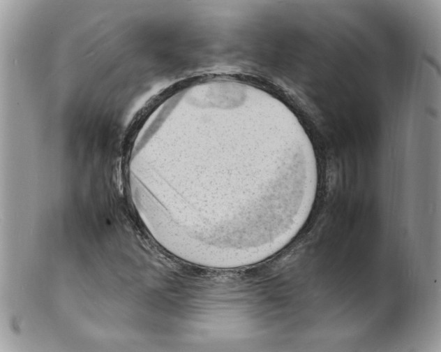 X0000098161262200805151220