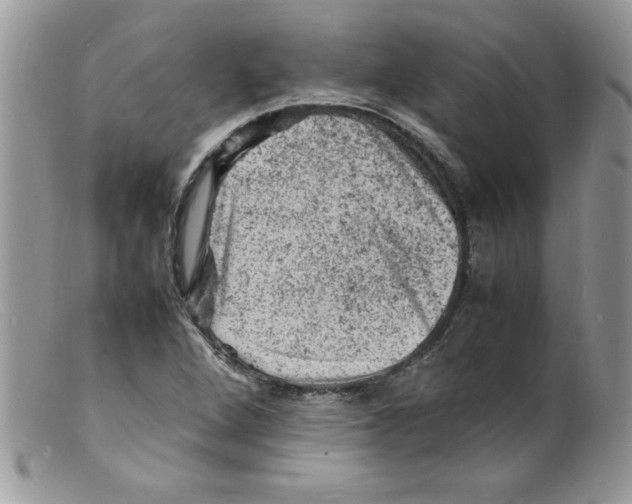 X0000098161264200805151220