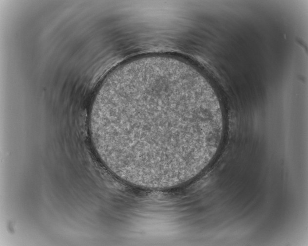 X0000098161265200805151220