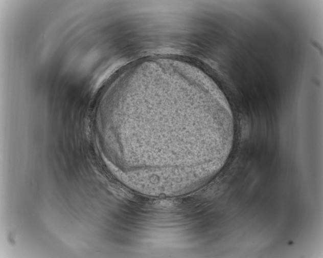 X0000098161266200805151220