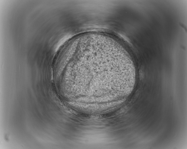 X0000098161267200805151220