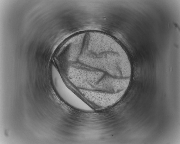 X0000098161268200805151220