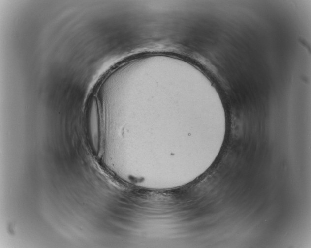 X0000098161270200805151220