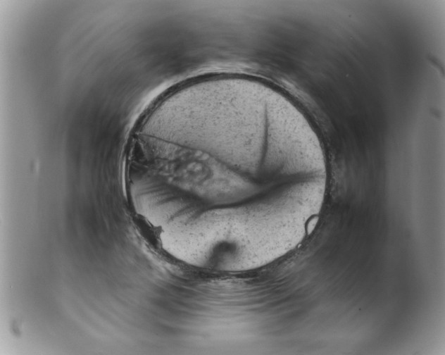 X0000098161272200805151220