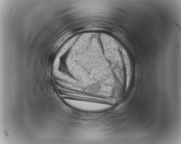 X0000098161273200805151220