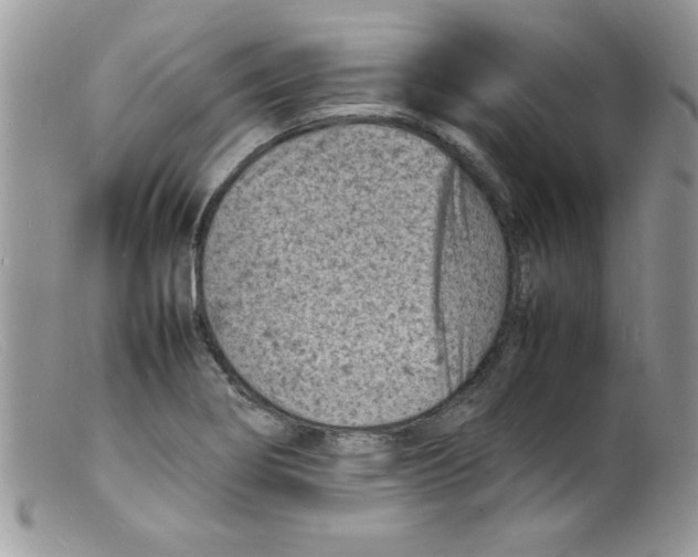 X0000098161274200805151220