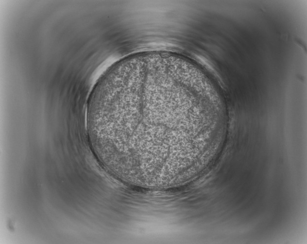 X0000098161275200805151220
