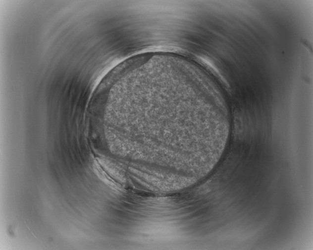 X0000098161276200805151220