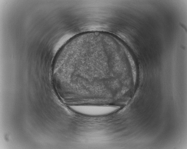 X0000098161277200805151220