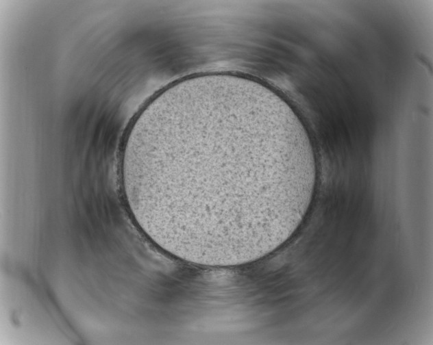 X0000098161278200805151220