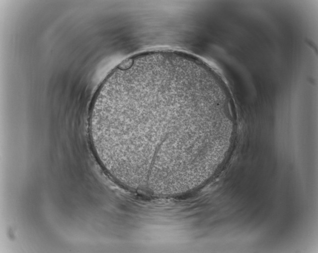 X0000098161279200805151220
