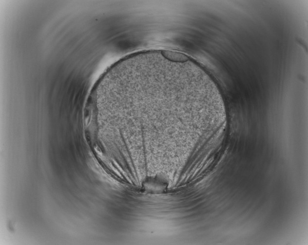 X0000098161280200805151220