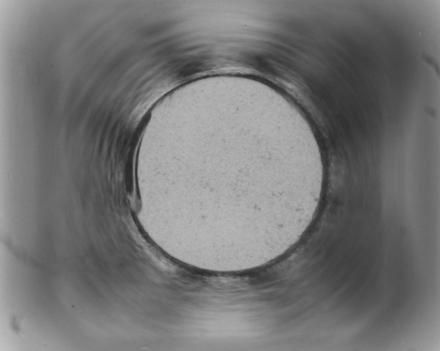 X0000098161281200805151220