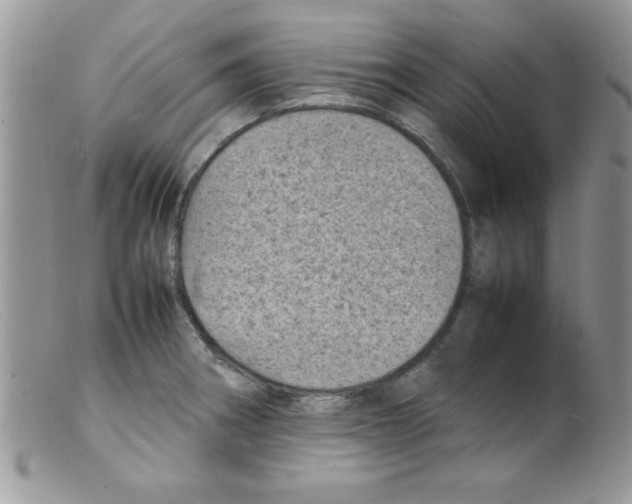 X0000098161282200805151220