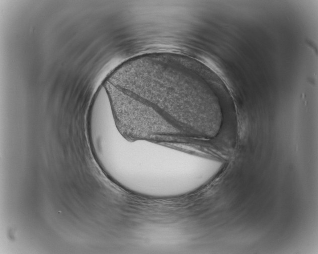 X0000098161283200805151220