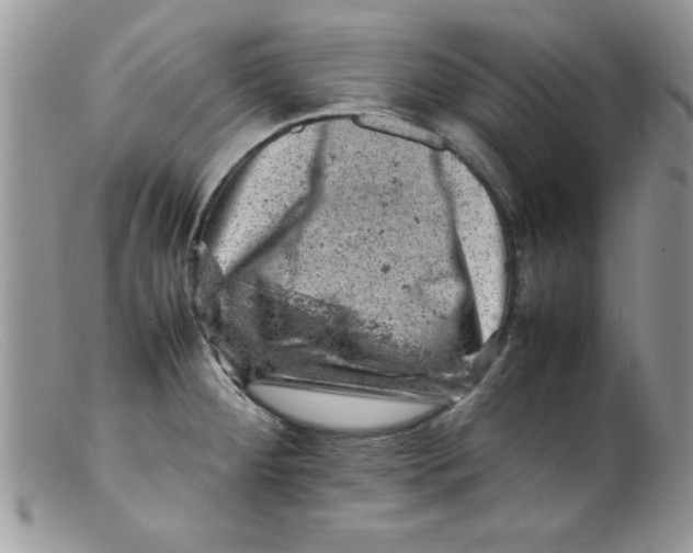 X0000098161284200805151220