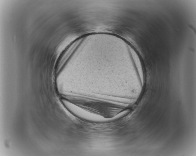 X0000098161285200805151220