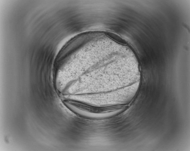 X0000098161288200805151220