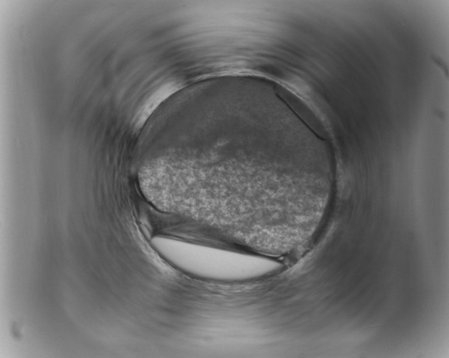 X0000098161289200805151220