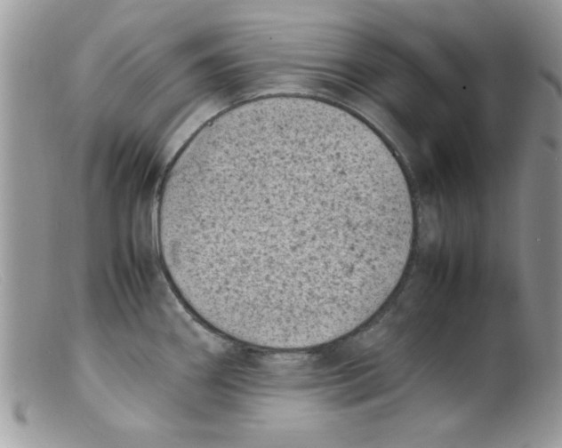 X0000098161290200805151220