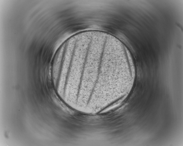 X0000098161292200805151220
