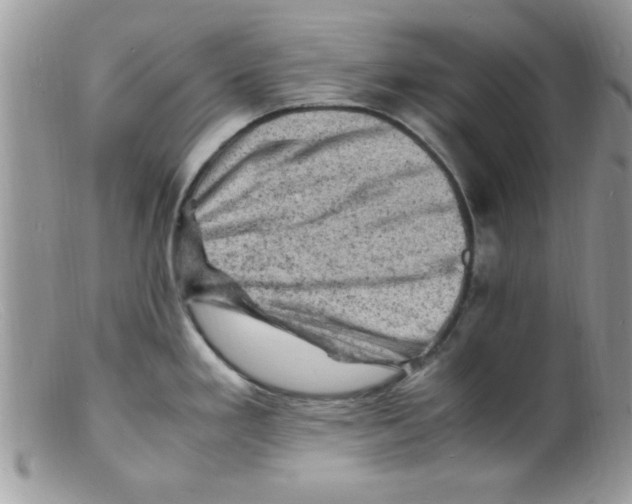X0000098161293200805151220