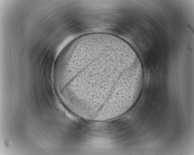 X0000098161294200805151220