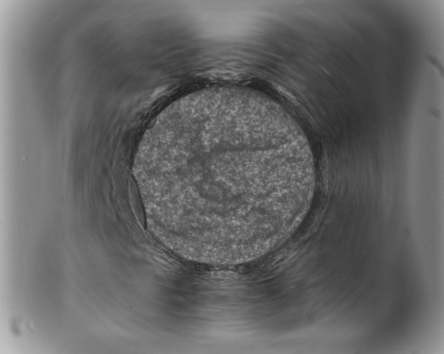 X0000098161297200805151219