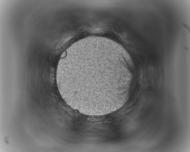 X0000098161301200805151219
