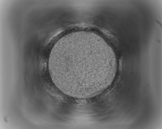X0000098161302200805151219