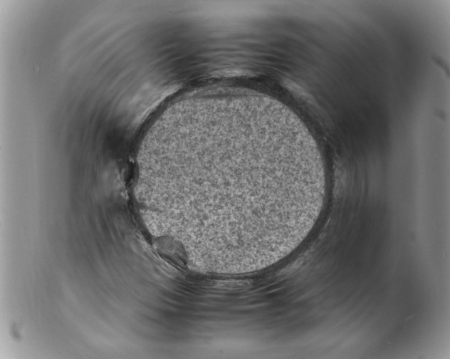 X0000098161305200805151219