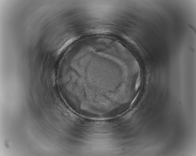 X0000098161306200805151219