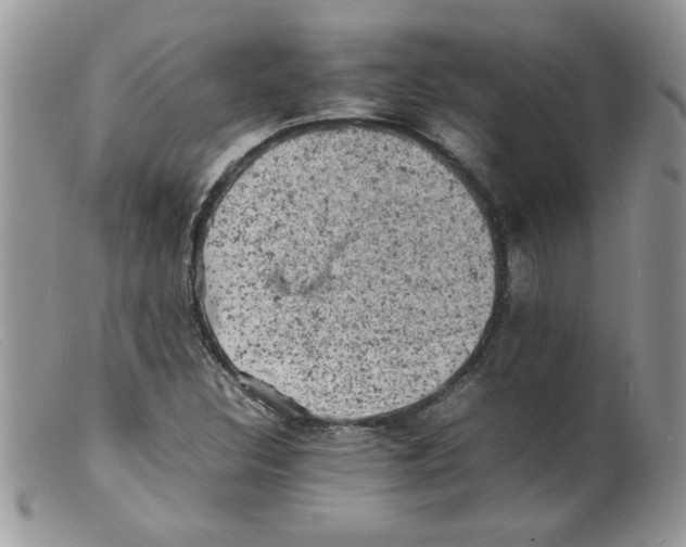 X0000098161308200805151219
