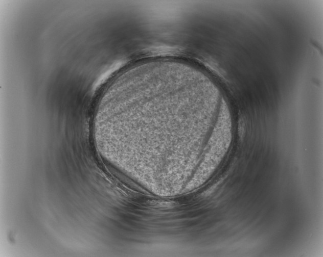 X0000098161309200805151219