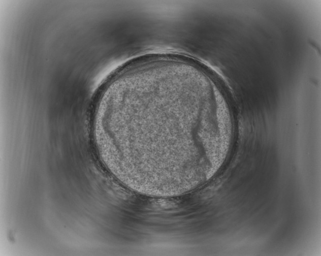 X0000098161311200805151219