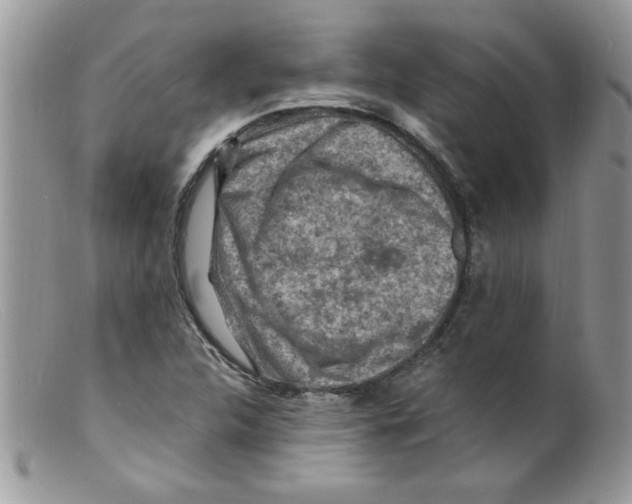 X0000098161312200805151219