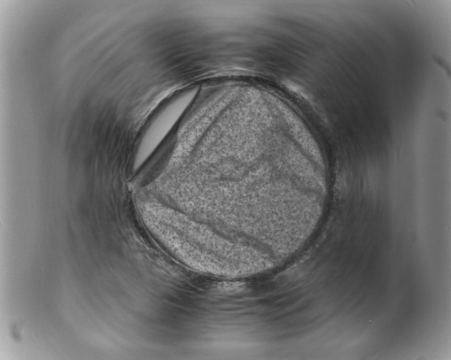 X0000098161313200805151219