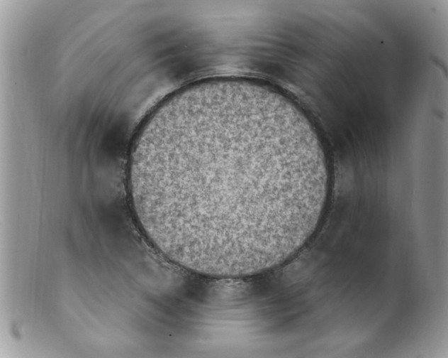 X0000098161314200805151219