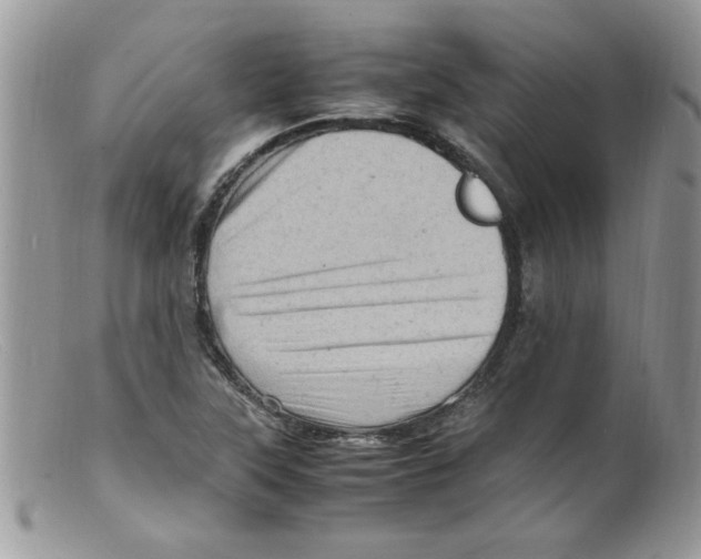 X0000098161315200805151219